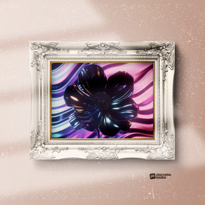 Placcebo Beats - Black Flower