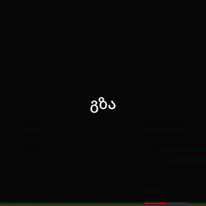 Ринат Абушаев - გზა