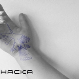 Владимир Вараксин - Наска